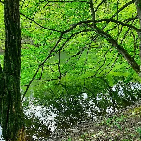 Prázdninový dům Gartenblick By Interhome *