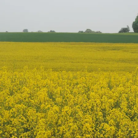 Gartenblick In Voehl-basdorf By Interhome Ferienhaus