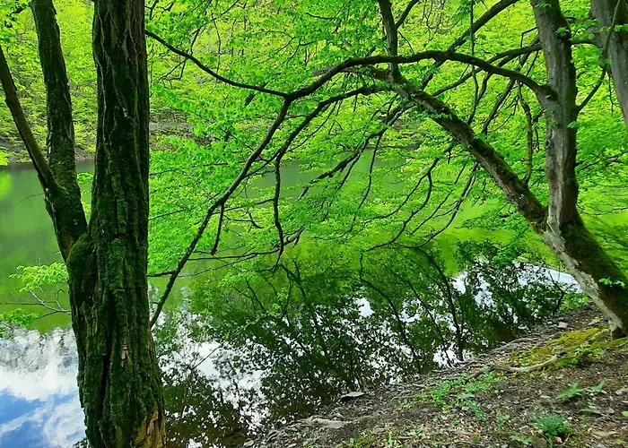 Nyaraló Gartenblick In Voehl-basdorf By Interhome *