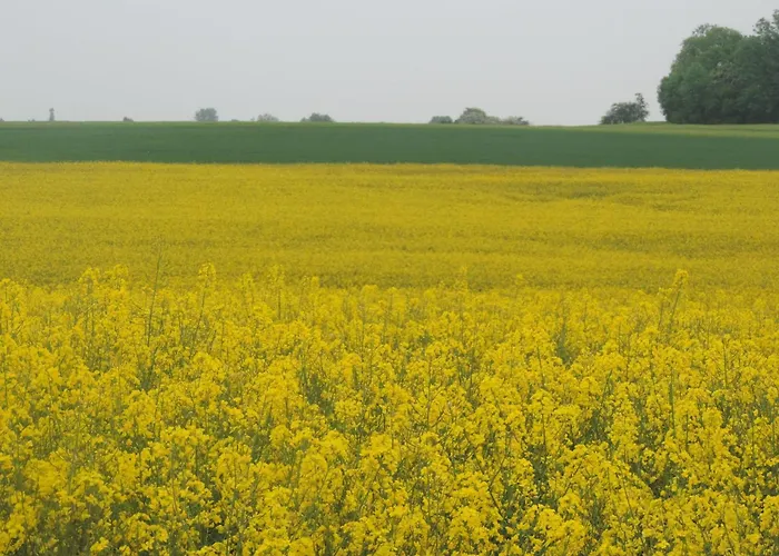 Gartenblick In Voehl-basdorf By Interhome Ferienhaus